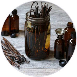 Estratto di Vaniglia Estratto di Vaniglia