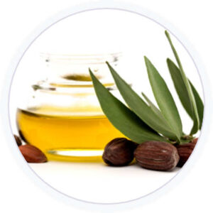 Olio Jojoba Olio Jojoba